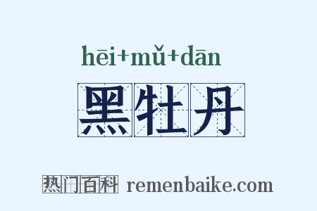 黑牡丹是什么意思的图片